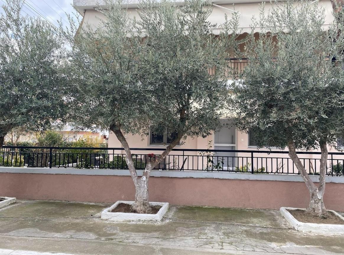 Olive Inn City Dráma Zewnętrze zdjęcie
